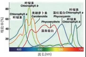 微信图片_20191121094916.jpg